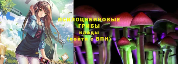гидропоника Верея