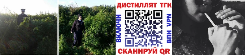 Дистиллят ТГК гашишное масло  Ставрополь 