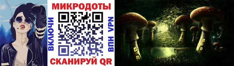 закладка  Ставрополь  Псилоцибиновые грибы Cubensis 